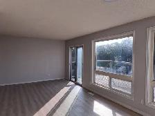 Freshly Renovated 2 Bedroom | West End Location - Photo 8