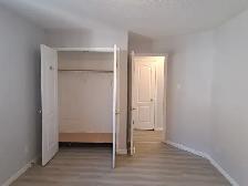 Freshly Renovated 2 Bedroom | West End Location - Photo 11