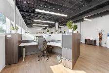 880 Lady Ellen Pl., Ottawa | Ground Level Office Space for Lease - Photo 8