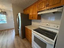 3 Bed Duplex in Eastview with Garage for Rent - Photo 3