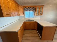3 Bed Duplex in Eastview with Garage for Rent - Photo 4