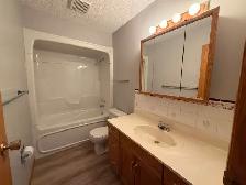 3 Bed Duplex in Eastview with Garage for Rent - Photo 11