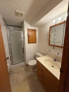 3 Bed Duplex in Eastview with Garage for Rent - Photo 16