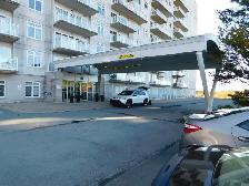 Amazing HFX 2bed/2bath condo/Heat-pump - VIDEO TOUR! - Photo 2