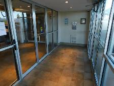 Amazing HFX 2bed/2bath condo/Heat-pump - VIDEO TOUR! - Photo 3
