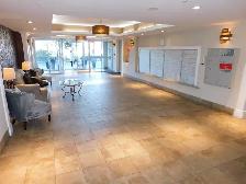 Amazing HFX 2bed/2bath condo/Heat-pump - VIDEO TOUR! - Photo 4