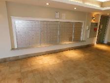 Amazing HFX 2bed/2bath condo/Heat-pump - VIDEO TOUR! - Photo 5