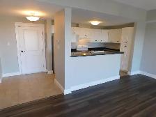 Amazing HFX 2bed/2bath condo/Heat-pump - VIDEO TOUR! - Photo 7