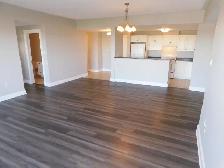 Amazing HFX 2bed/2bath condo/Heat-pump - VIDEO TOUR! - Photo 10