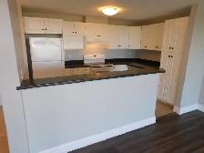 Amazing HFX 2bed/2bath condo/Heat-pump - VIDEO TOUR! - Photo 11