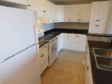 Amazing HFX 2bed/2bath condo/Heat-pump - VIDEO TOUR! - Photo 12