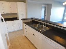 Amazing HFX 2bed/2bath condo/Heat-pump - VIDEO TOUR! - Photo 13