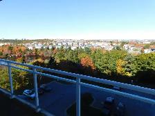 Amazing HFX 2bed/2bath condo/Heat-pump - VIDEO TOUR! - Photo 31