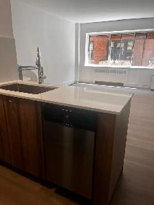 AVAILABLE Now 3 1/2 metro SNOWDONHOT WATER & HEATING INCLUDED - Photo 11