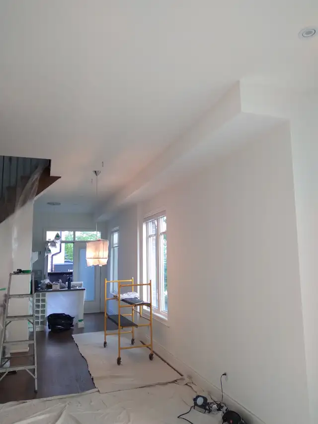 I offer Plaster (3,4,5 level) Painting High-End Finish