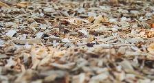 Wood Chip Play Surfacing - Soft Landing Under Slides & Forts