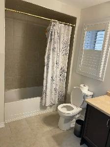 Walk Out Legal Basement For Rent In Brampton - Photo 3