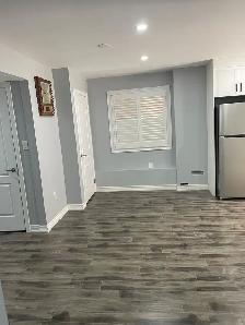 Walk Out Legal Basement For Rent In Brampton - Photo 11