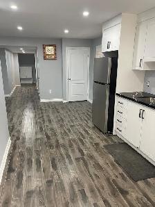 Walk Out Legal Basement For Rent In Brampton - Photo 16