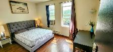 Furnished Queen Room | Kensington Market | Jan–Apr 2027