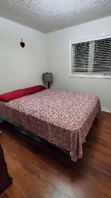 Room for rent for Girl only - Photo 2
