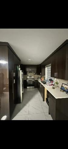2 Bedroom Basement in Surrey - Photo 3