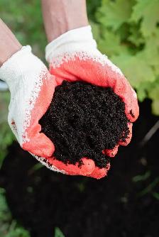 Screened Garden Soil Mix - Ready for Fall Bulbs & New Seedlings - Photo 2
