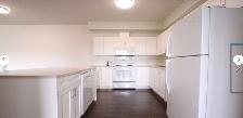 MODERN BUILT 'CHERRY RIDGE ESTATES' - 2 BDRM APT.-AVAIL. DEC. 1 - Photo 3