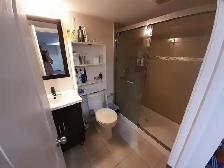 2 Bed Basement Apt - Separate Entrance, Parking   Free Internet - Photo 6