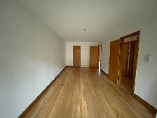Grand 5 1/2 dans Rosemont - occupation rapide - Photo 4