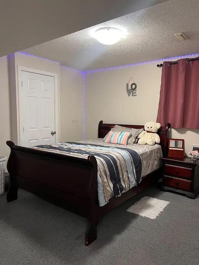 one bedroom basement in Taradale NE