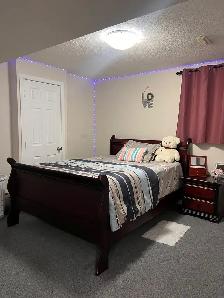 one bedroom basement in Taradale NE