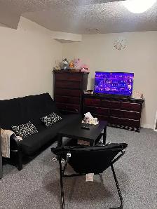 one bedroom basement in Taradale NE - Photo 5