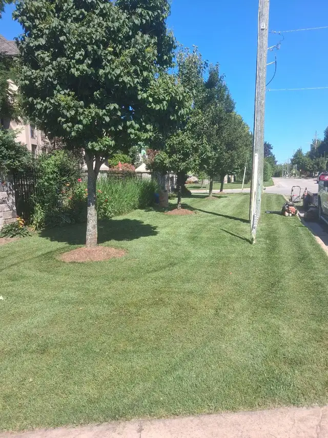 Fall Garden cleanup and leaf removal