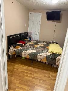 Basement Shared Room for Rent - Photo 8