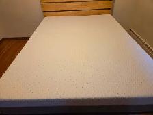 ENDY Mattress (Queen)