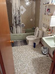 Room for Rent near Seneca College (Newnham Campus) - Photo 2