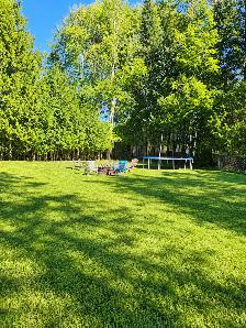 Bass Lake 3 1 bedroom, 1 bath. Large yard! - Photo 2