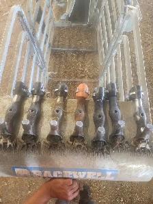 Kuepfer's Custom Shearing Services - Photo 2