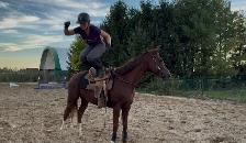 PRICE REDUCED-15.3-2021 TB Mare - Photo 8