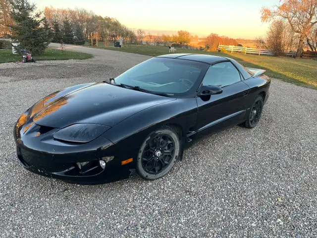1998 Pontiac Firebird