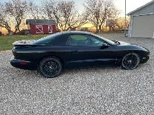 1998 Pontiac Firebird - Photo 2