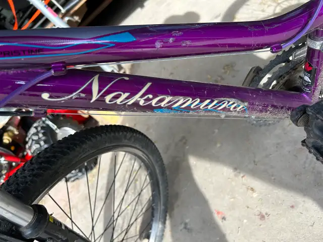 Girls bike 20" Purple