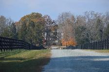 3/4 Inch Road Base Gravel - Compacts Hard for Long Driveways - Photo 2