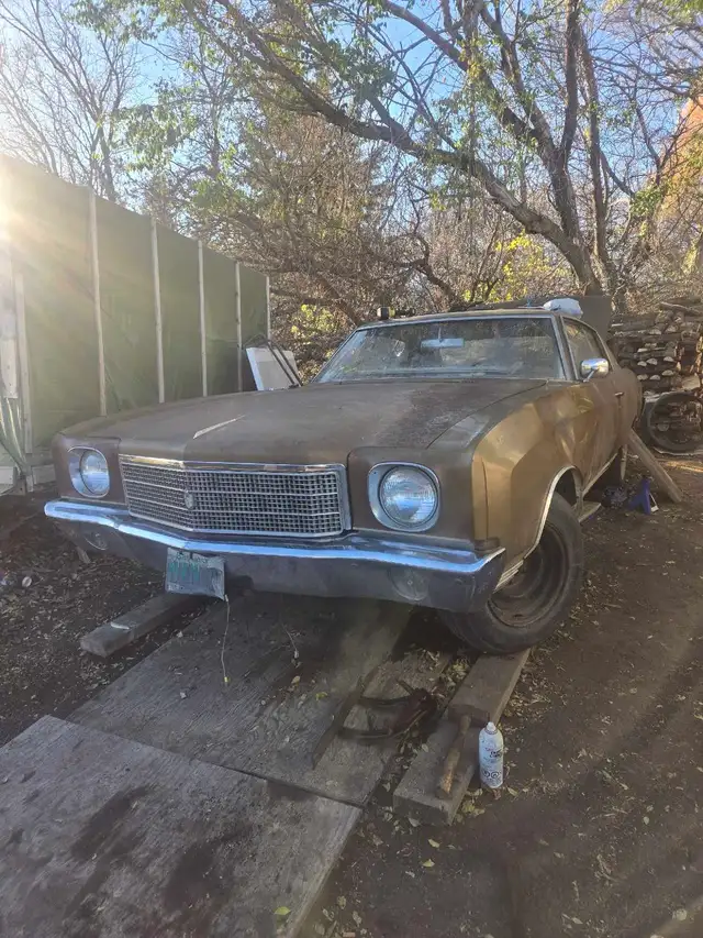 FIRST GENERATION MONTE CARLO 1970