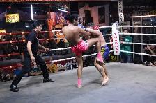 In Home Kick Boxing Personal Training - Photo 7
