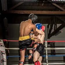 In Home Kick Boxing Personal Training - Photo 9