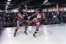 In Home Kick Boxing Personal Training - Photo 10