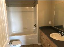 QUALITY, OPEN, 3 BEDROOM, GARAGE & FENCED YARD, FRANK ROSS AREA - Photo 7