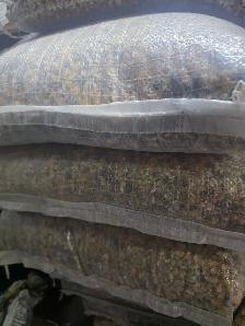 pigoen mix for sale - Photo 4